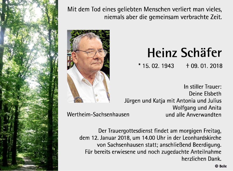 Heinz Schäfer