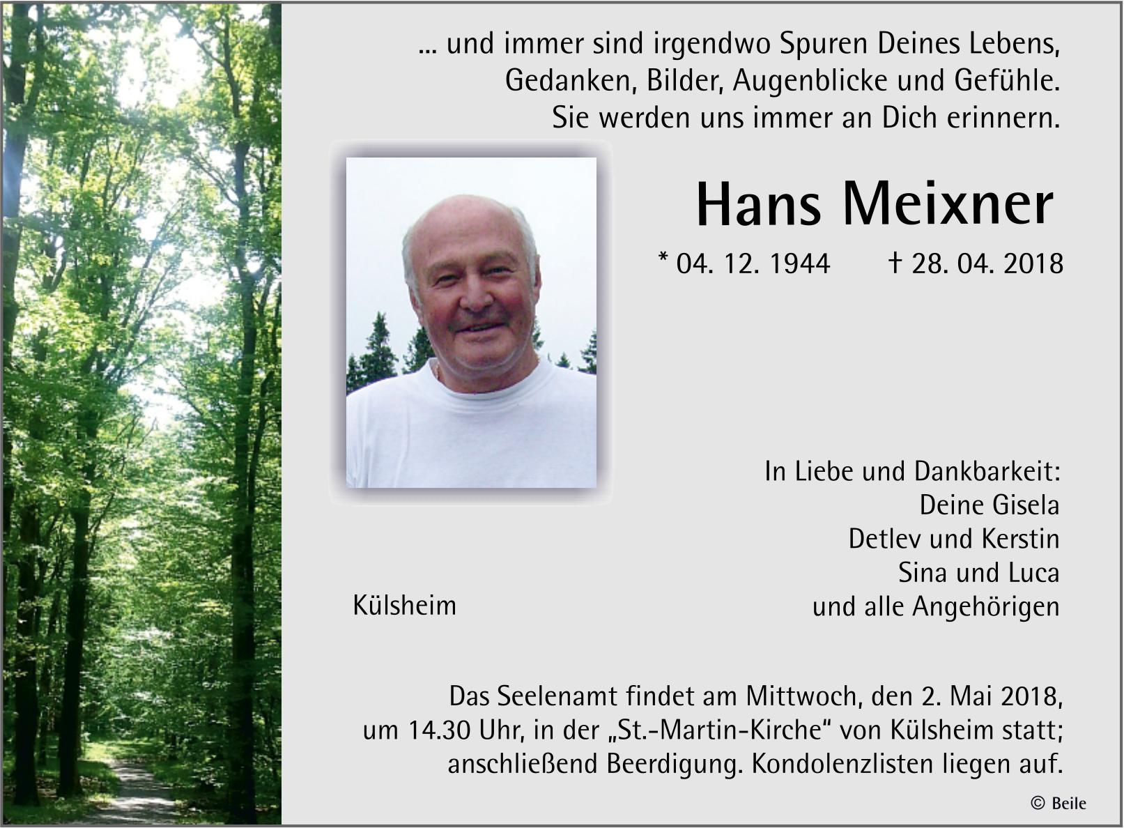 Hans Meixner