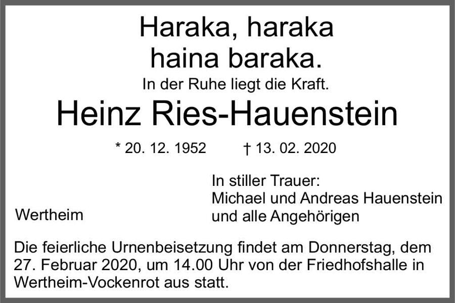 Heinz Ries-Hauenstein